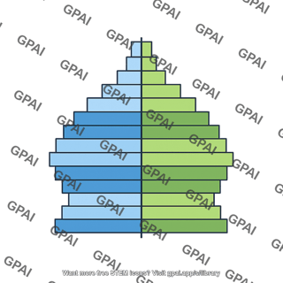 Age structure pyramid