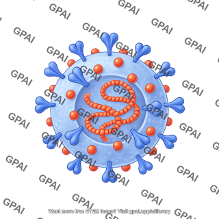 Coronavirus mers
