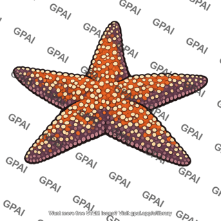 Pisaster seastar