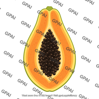 Papaya cut