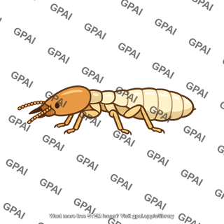 Termites
