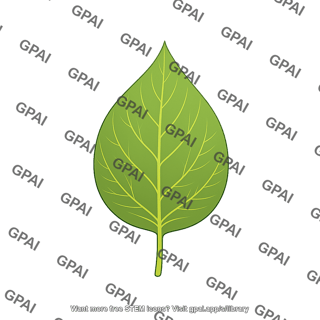Leaf ovate smooth