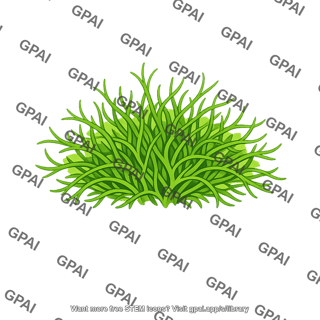 Filamentous alga