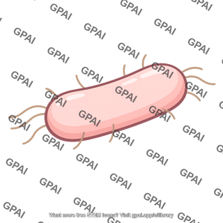 Rod shaped bacterium