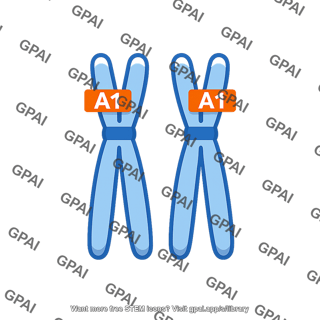 Homozygote a1a1