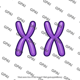 Offspring female xx
