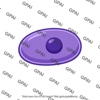 Plasmodium zygote