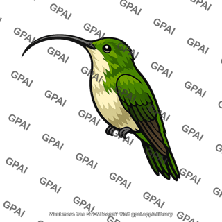 Sicklebill hummingbird