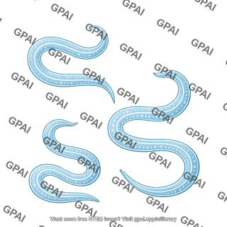 C. elegans 3