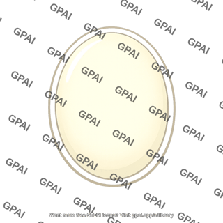 Egg unfertilized