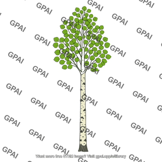 Quaking aspen