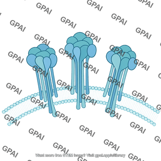 Alphavirus surface proteins 862