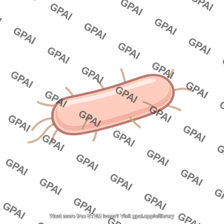 Soil bacterium