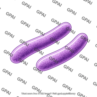 Mycobacterium 2