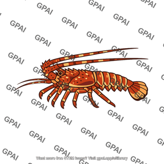 Spiny lobster