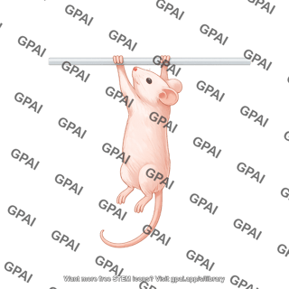 Mouse wire hang test