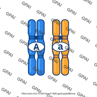 Heterozygote