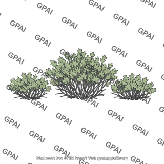 Shrubby desert vegetation