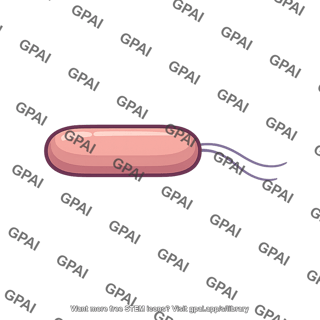 Rhizobium bacterium
