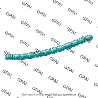 Cyanobacterium filament