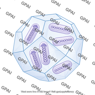 Npv occlusion body