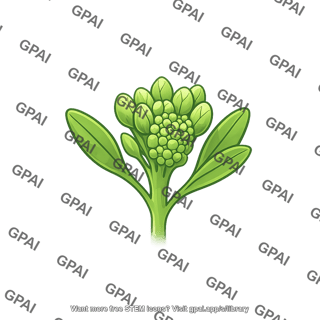 Arabidopsis inflorescence meristem
