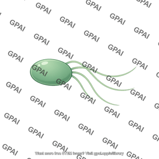 Enterococcus gallinarum