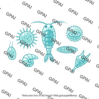 Marine plankton