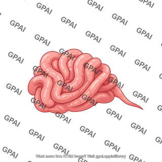 Mouse intestines lateral