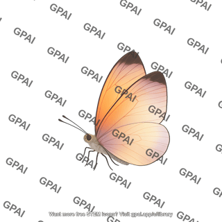 Butterfly generic