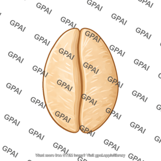 Oat flake