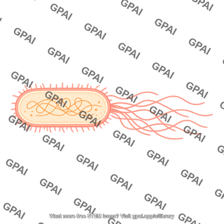E coli