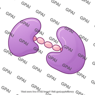 Hiv protease