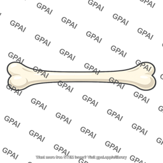 Bone
