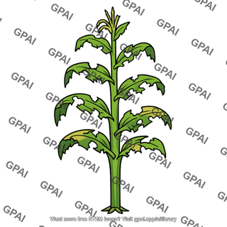 Crop plant damaged