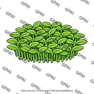 Seedling high density