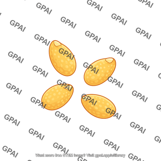 Arabidopsis seed