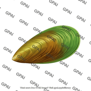 Greenshell mussel perna canaliculus shell