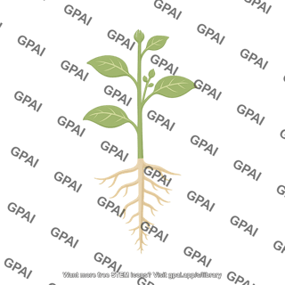 Plant generic 2
