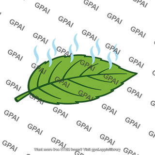 Transpiration leaf