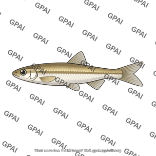 Minnow fish