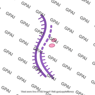 Hiv genome 2