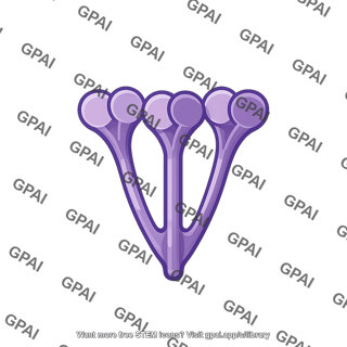 Rsv fusion protein