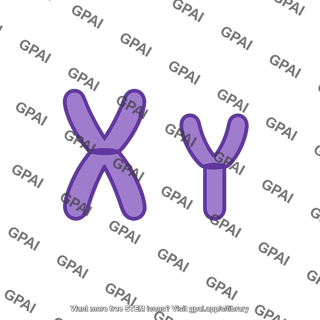 Offspring male xy