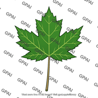 Green maple leaf