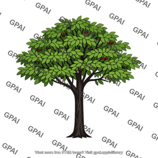 Black cherry tree