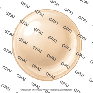 Pest egg generic