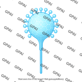 Viral protein 2