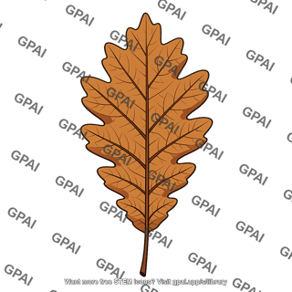 Dried oak leaf
