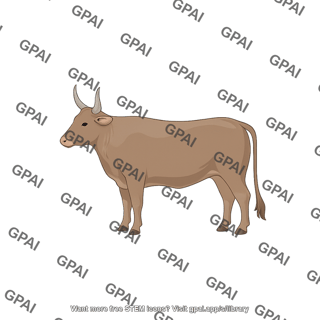 Cow n dama